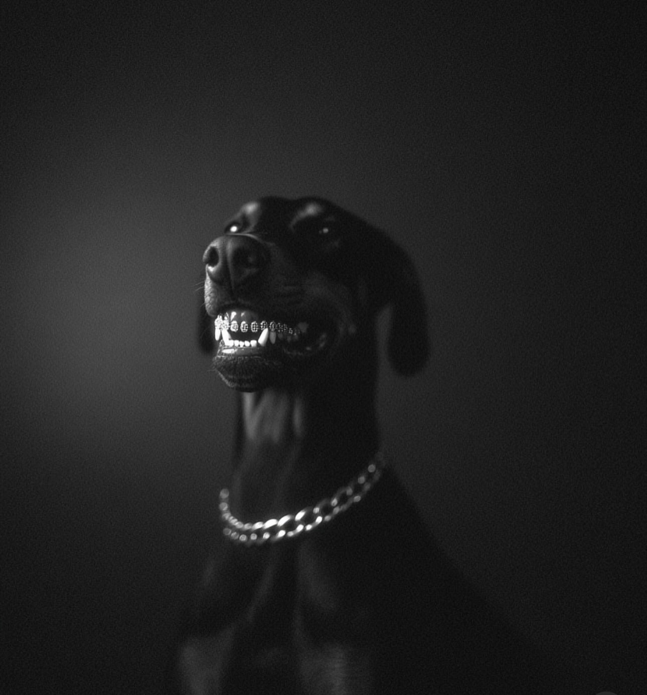 Drop background