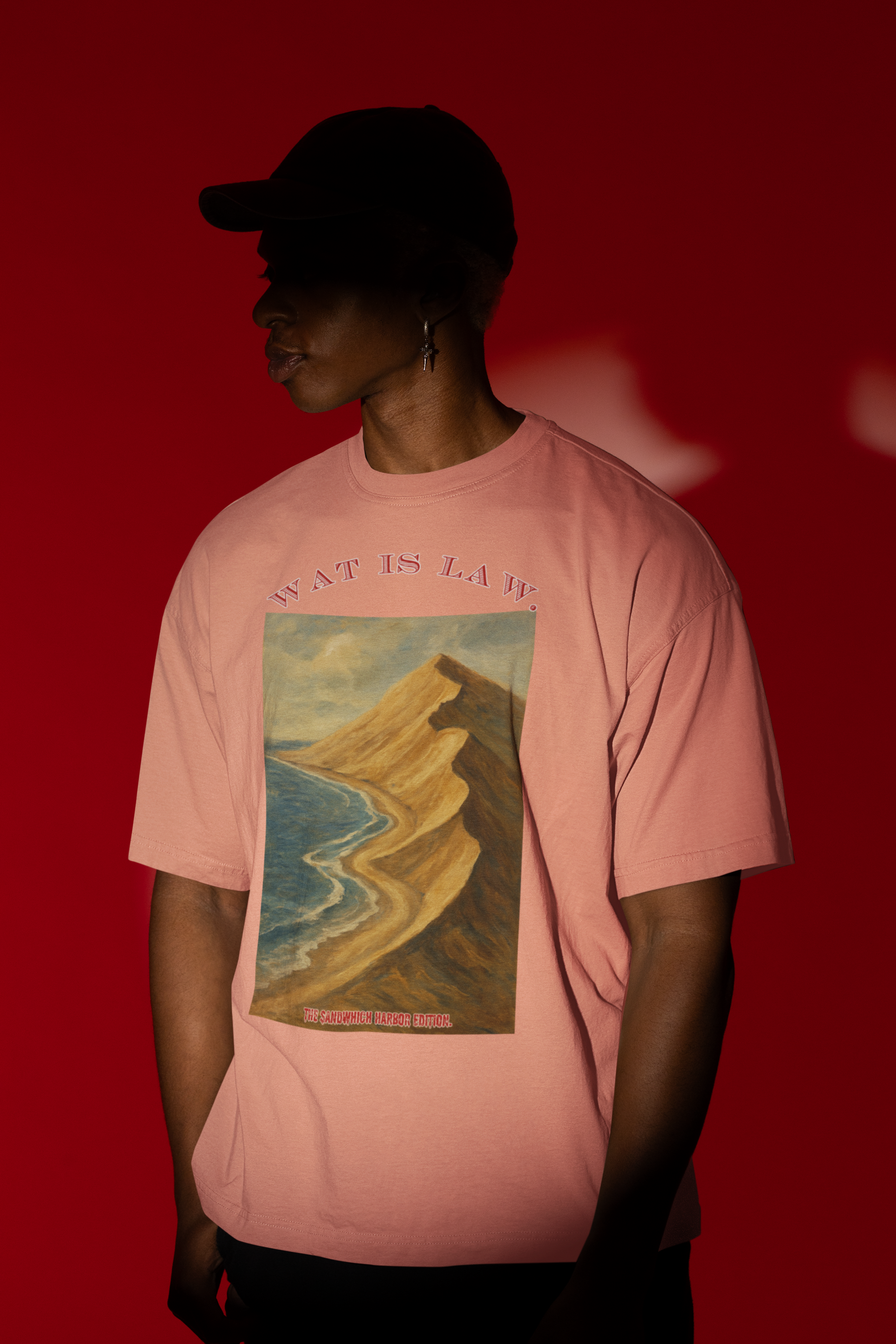 Sandwich Harbor CrewNeck — Pink